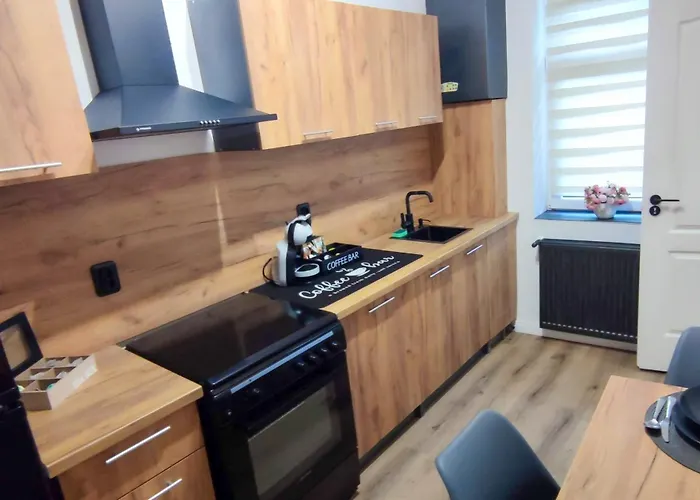 Lägenhet Julia Apartments Cluj - Nou, Central, Gara, Parc, Self Check-In *